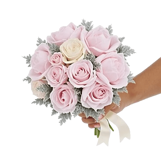 Pastel Pink Roses