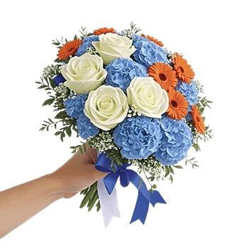 Serene Petal Harmony