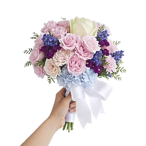 Serene Petal Harmony