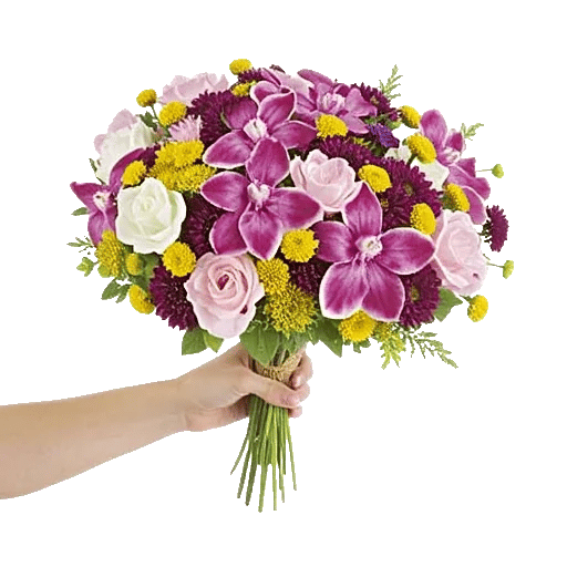 Serenity Orchid Bloom