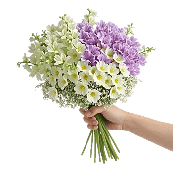 Ivory Blossom Radiance