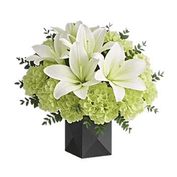 Modern White Orchids