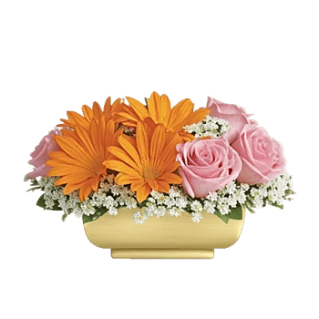 Blush Romantic Centerpiece