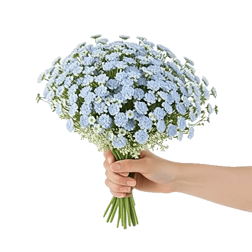 Rosemary Bloom Elegance