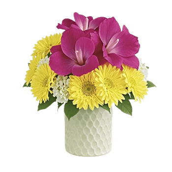 Petal Radiance Bliss