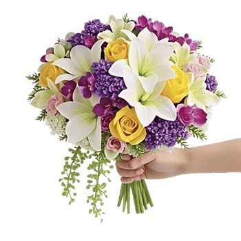 Orchid Bloom Cascade