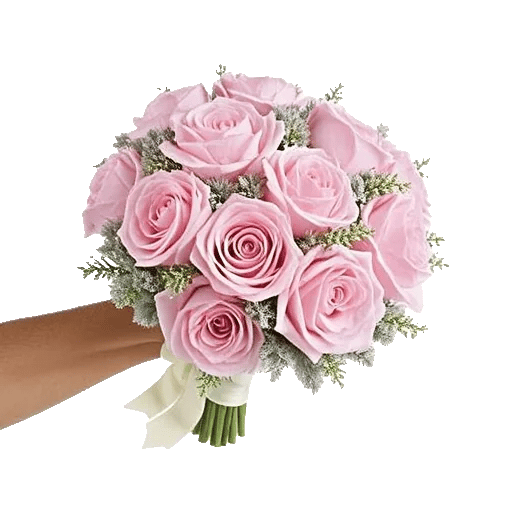 Pastel Pink Roses