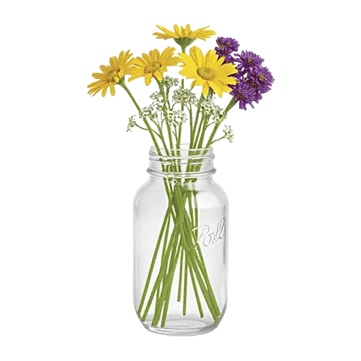 Enchanting Daisy Garden