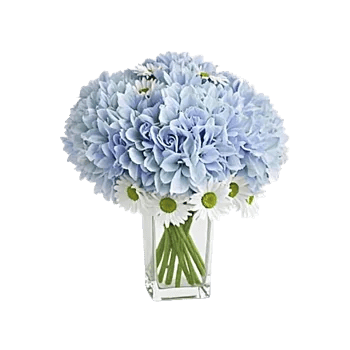 Serene Garden Harmony