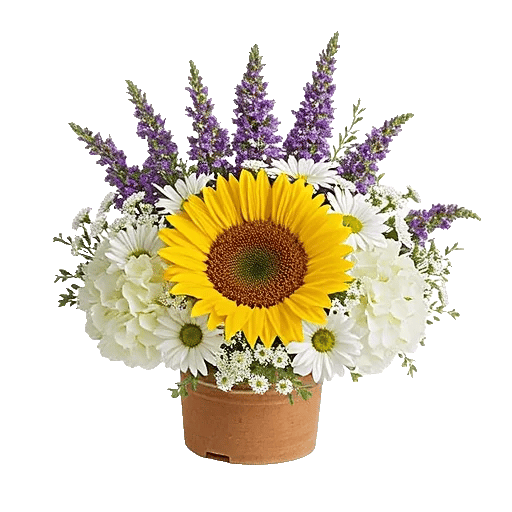 Amber Sunflower Glow