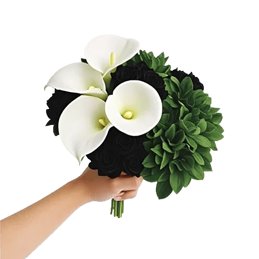 Elegant Calla Lilies