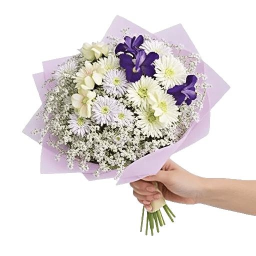 Blossom Radiant Whisper