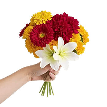 Blossom Harmony Display