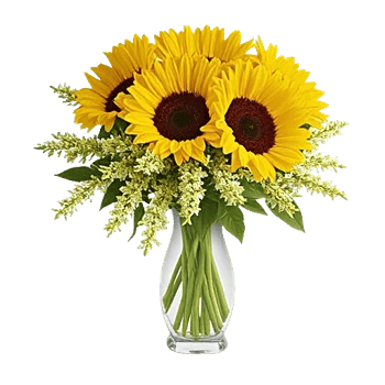 Radiant Bloom Cascade