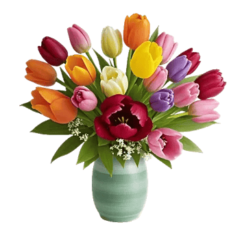 Velvet Tulip Display