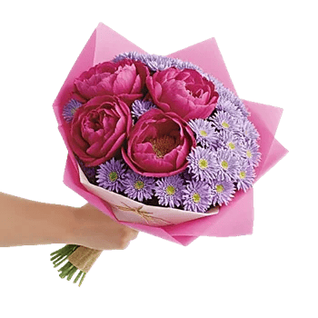Peony Petal Harmony