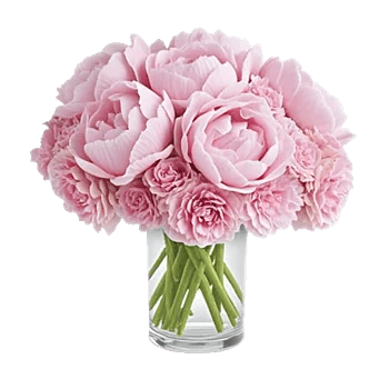 Petal Radiance Bliss