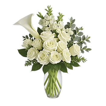 Elegant Calla Lilies