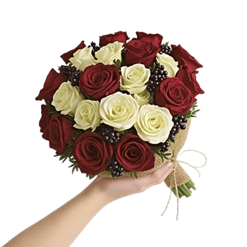 Crimson Rose Elegance