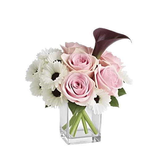 Graceful Lily Display