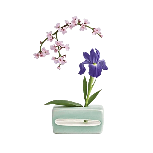 Ivory Blossom Radiance