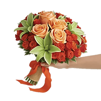 Blushing Rose Symphony