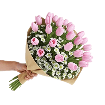 Blossom Harmony Display