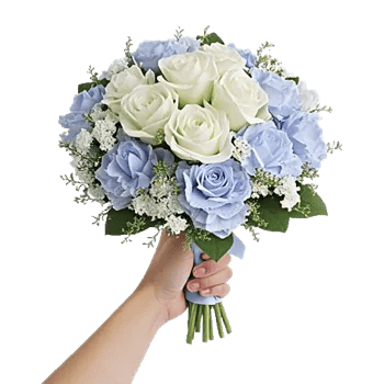 Serene Petal Harmony