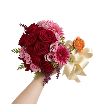 Blushing Rose Symphony