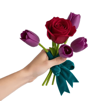 Crimson Rose Elegance