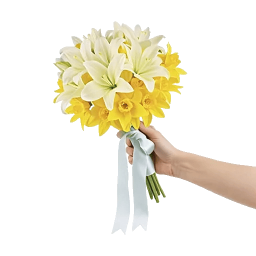 Delicate Petal Cascade