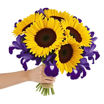 Amber Sunflower Glow