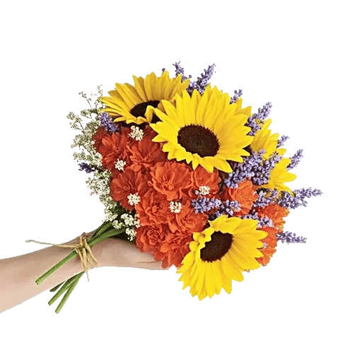 Twinkling Sunflower Dance