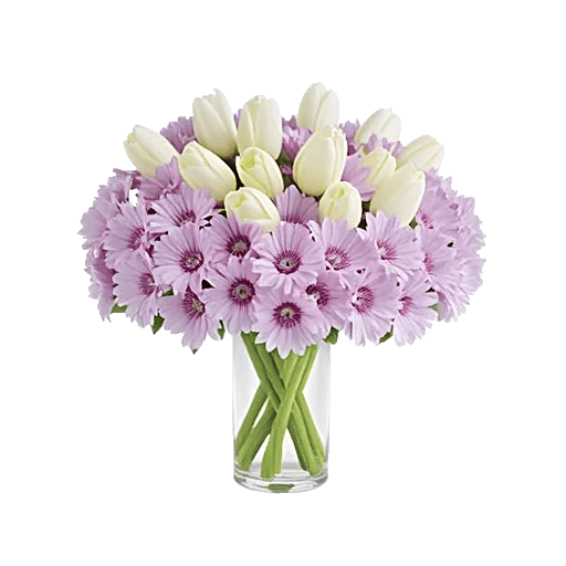 Velvet Tulip Display