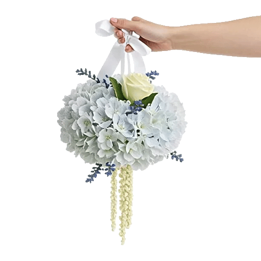 Serene Petal Harmony