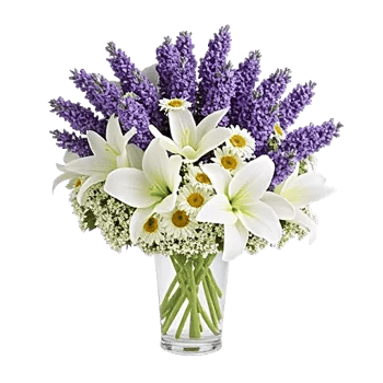 Lavender Bloom Grace