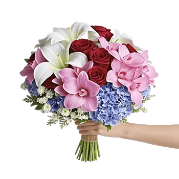 Serene Petal Harmony