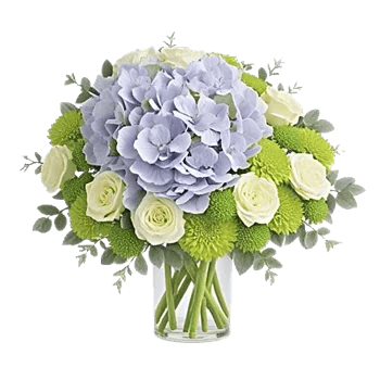 Sapphire Bloom Whisper