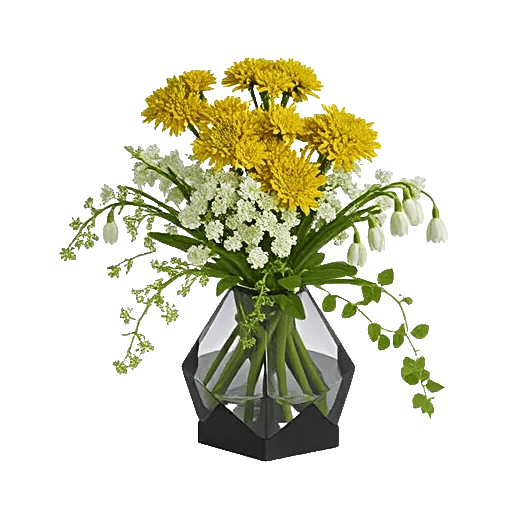 Ivory Blossom Radiance