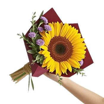Amber Sunflower Glow