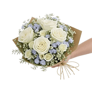 Serene Petal Harmony