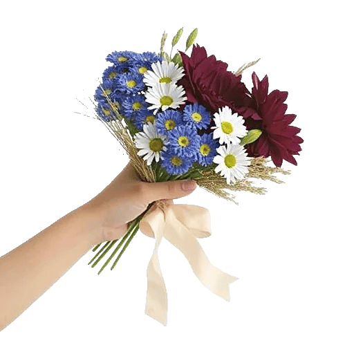 Blossom Petal Serenity