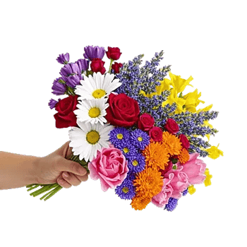 Blossom Harmony Display