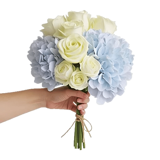 Serene Petal Harmony