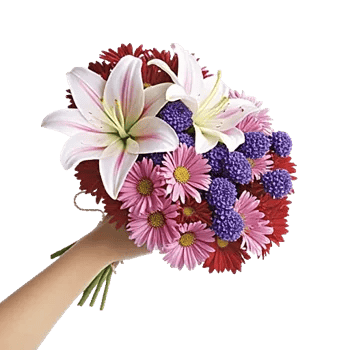 Blossom Harmony Display