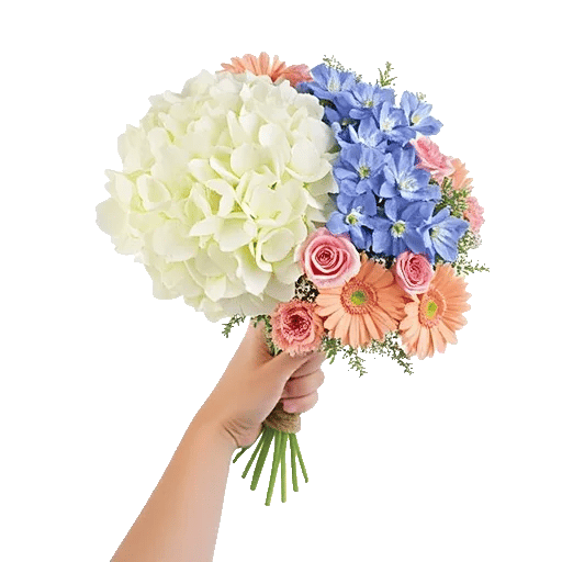 Serene Petal Harmony