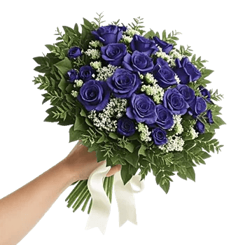 Blossom Petal Serenity