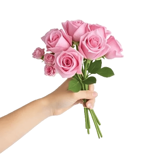 Pastel Pink Roses