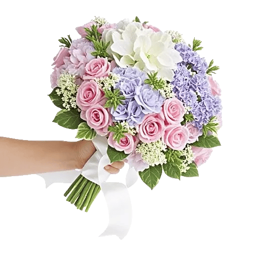Pastel Blossom Grace