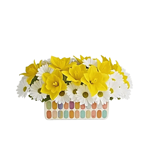 Blossom Harmony Display